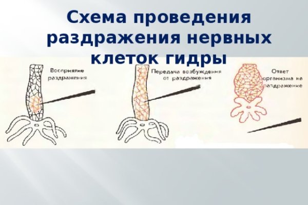 Гидра в даркнете