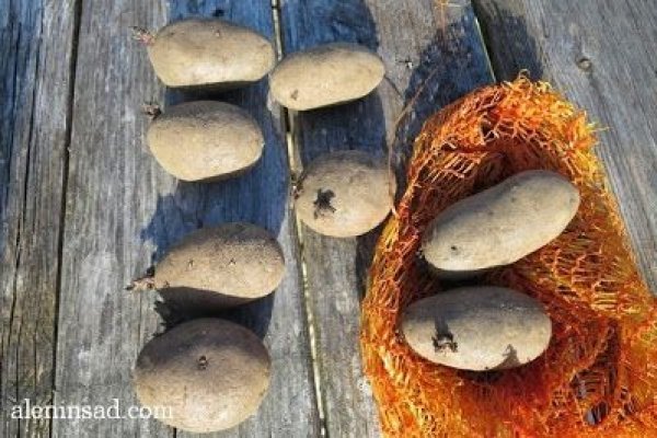 Кракен даркнет рабочая ссылка