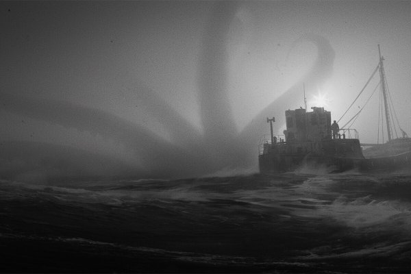 Kraken17 at