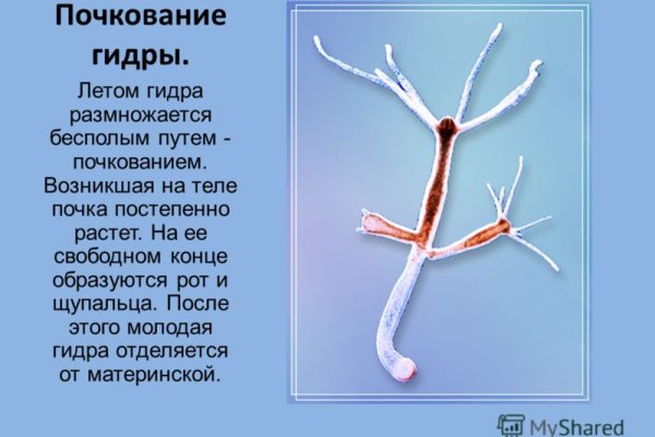 Кракен магазин наркоты