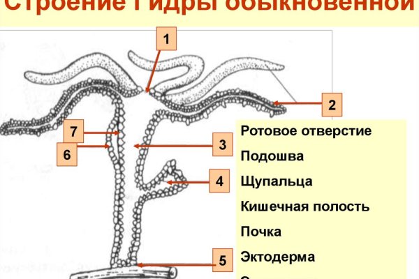 Кракен ссылка onion
