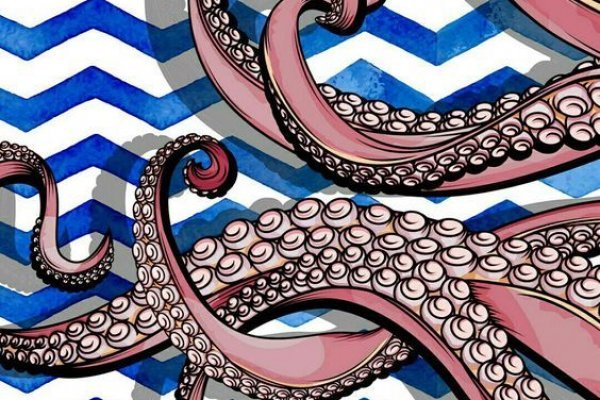 Kraken 24 top